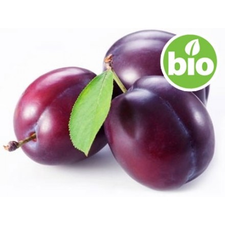 Organic 1st Cold-pressed Plum Seed Oil