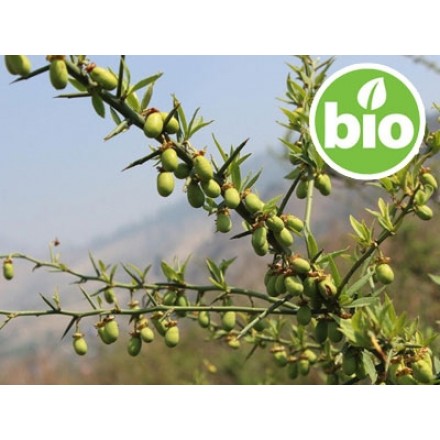 Organic 1st-press Dathelo Oil