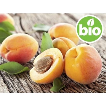 Organic Apricot Kernel Oil - 1st Pressing