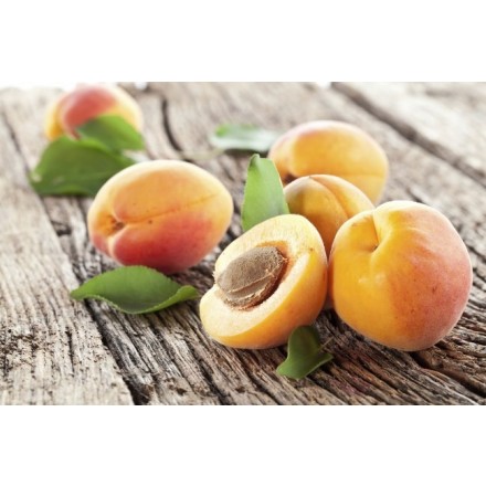 Apricot Kernel Oil - Refined
