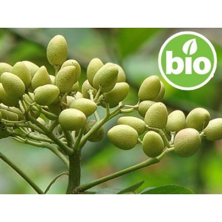 Organic Virgin Neem Oil - 1st Pressing