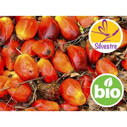 Organic Refined Palm Oil from a Circular Economy