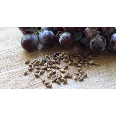 Grapeseed Oil