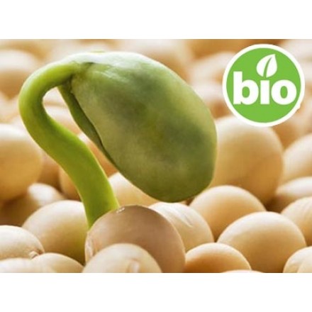Non-GMO Liquid Soya Lysolecithin - Ecocert