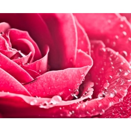 Natural Rose Water - (Rosa Damascena)