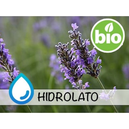 Organic Spike Lavender Hydrolat