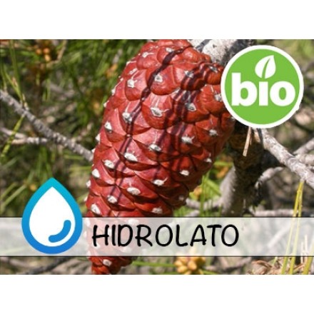 Organic Aleppo Pine Hydrolat