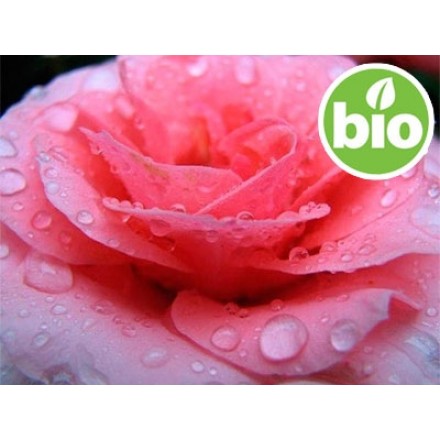 Organic Rosa Damascena Hydrolat