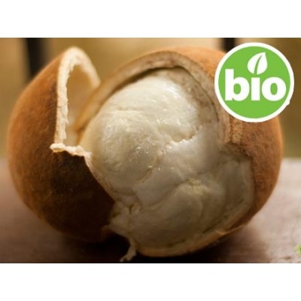 Organic 1st-press Copoaçu (Copoazú) Butter