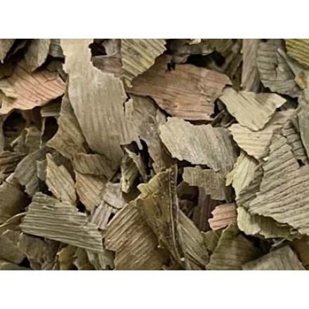 Cut Ginkgo biloba Leaves