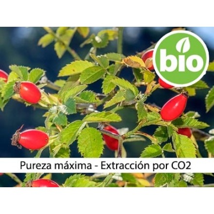 Organic Rosehip Oil CO2 Extraction