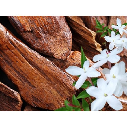 Jasmine and Sandalwood Fragrance