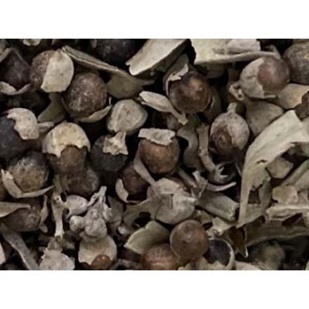 Chaste Tree - Wild Fruits