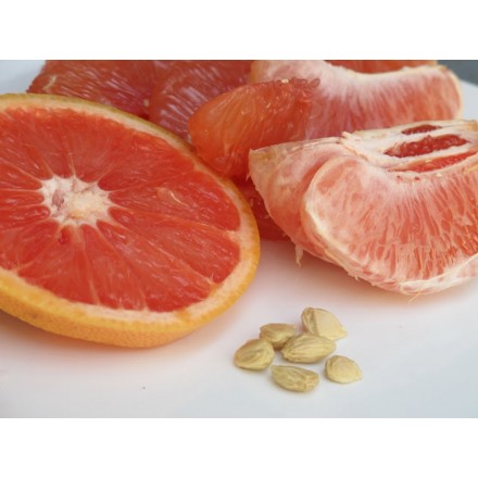 Organic Grapefruit Seed Extract