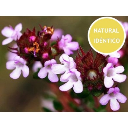 Red Thyme - Nature-Identical