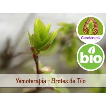 Lime Tree Young Shoots - Gemmotherapy
