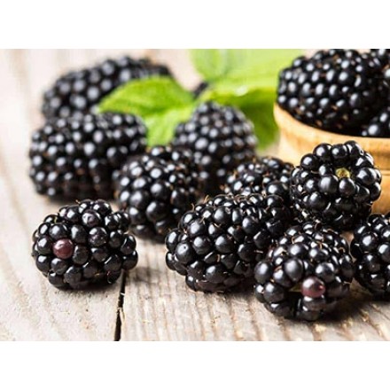 Blackberry Fragrance
