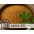 Fenugreek Absolute