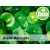 Organic Centella Asiatica Oil
