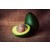 Virgin Avocado Oil, 1st Pressed