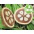 Organic Deodorised Babassu Oil
