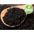 Organic Virgin Black Cumin Oil, 1st Pressed