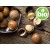 Organic Macadamia Oil - 1st Pressing