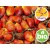 Organic Refined Palm Oil from a Circular Economy