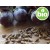 Organic Virgin Grapeseed Oil