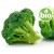 Organic Broccoli Oil - 1st Pressing