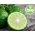 Organic Bergamot Essential Oil