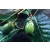 Elemi Essential Oil