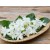 Jasmine Grandiflorum Absolute
