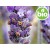 Organic White Lavender Essential Oil