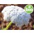 Organic Khella Essential Oil - Biznaga