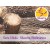 Buddha Wood Essential Oil