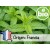 Organic Peppermint Essential Oil - France