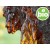 Organic Myrrh Essential Oil