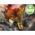 Organic Turpentine Essential Oil