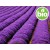 Organic Lavender Flower Macerate