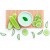 Aloe - Cucumber Fragrance