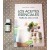 Book - Los Aceites Esenciales para el Día a Día