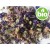 Organic Mallow Flowers - Extra