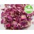 Organic Rosa Damascena Petals