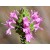 Spanish Oregano Essential Oil (Carrasqueño Thyme)