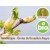 Blackcurrant Shoots - Gemmotherapy