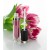 Lip Gloss Container 7,5ml with Black Cap.