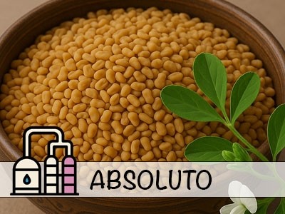 Absoluto de Feno-grego
