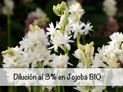 Diluição de Absoluto de Nardo Tuberosa a 3%