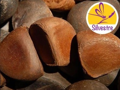 Óleo de Andiroba Silvestre e BIO